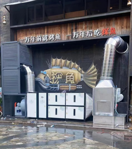 探魚1.png